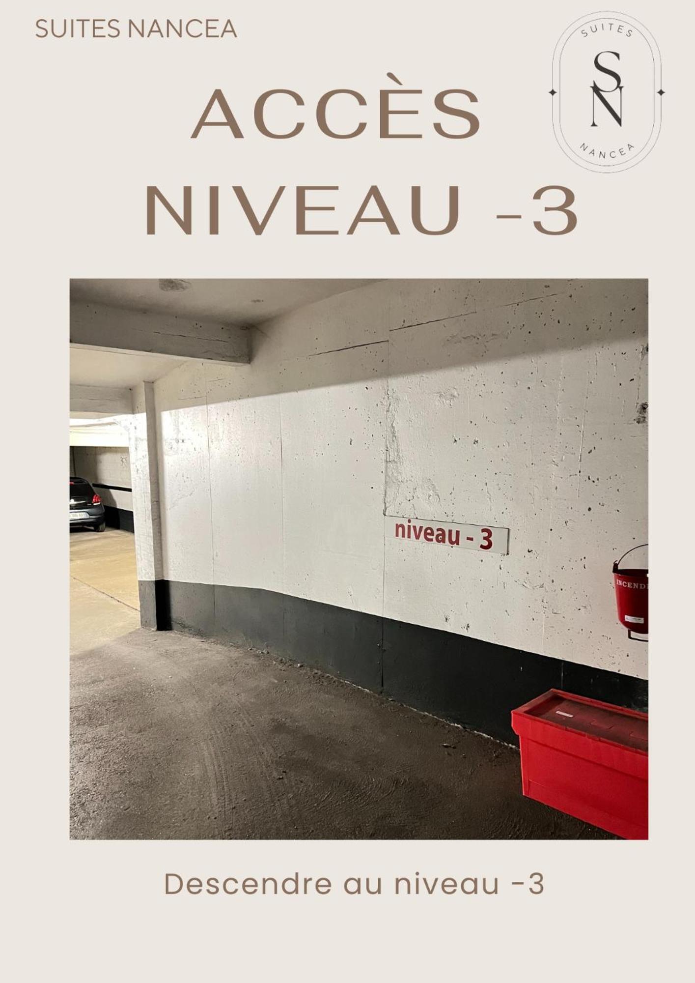 Vue Sur Le Palais - Nancy Gare Congres - Parking - T3 Daire Dış mekan fotoğraf